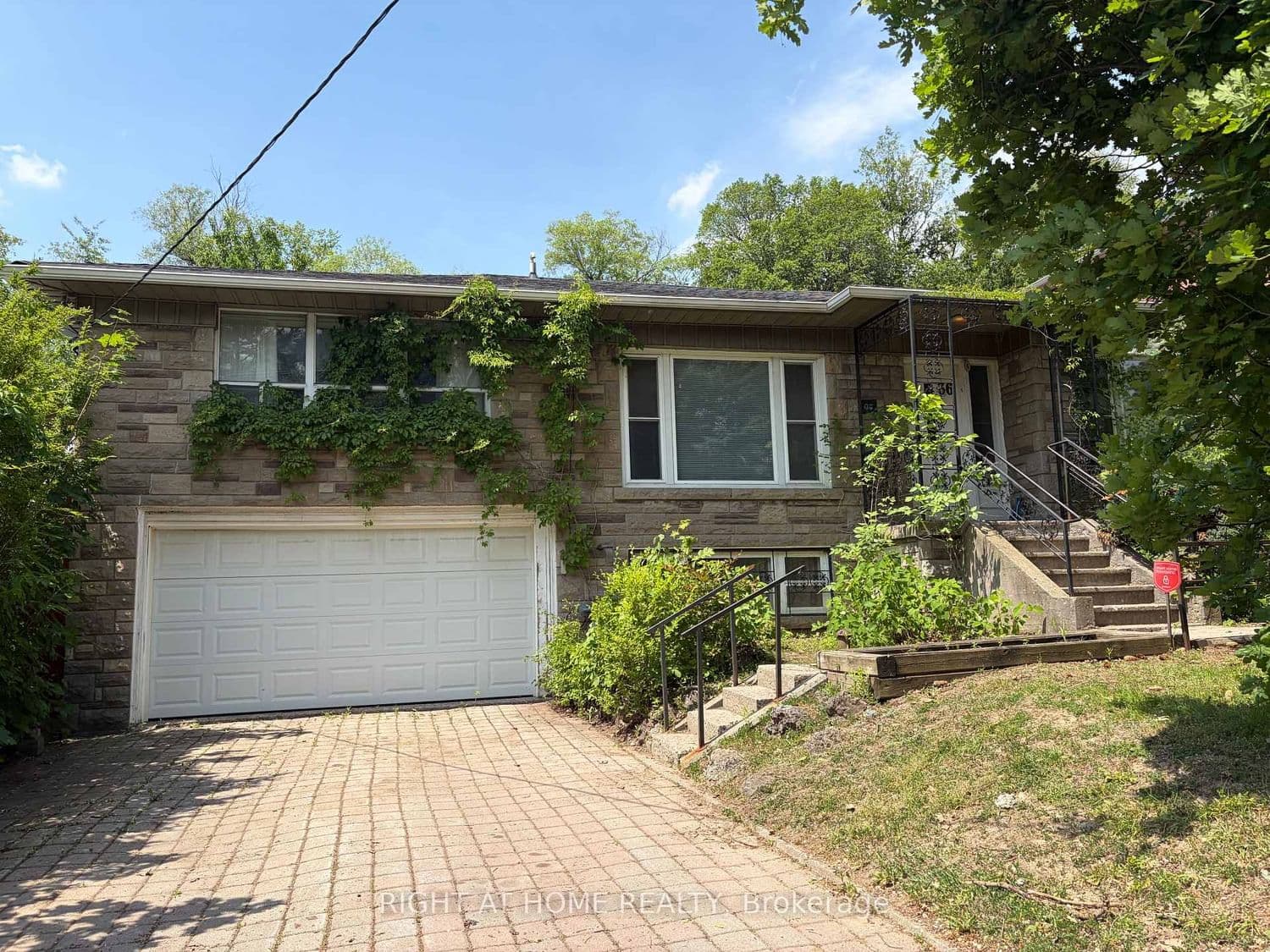 36 Forest Wood