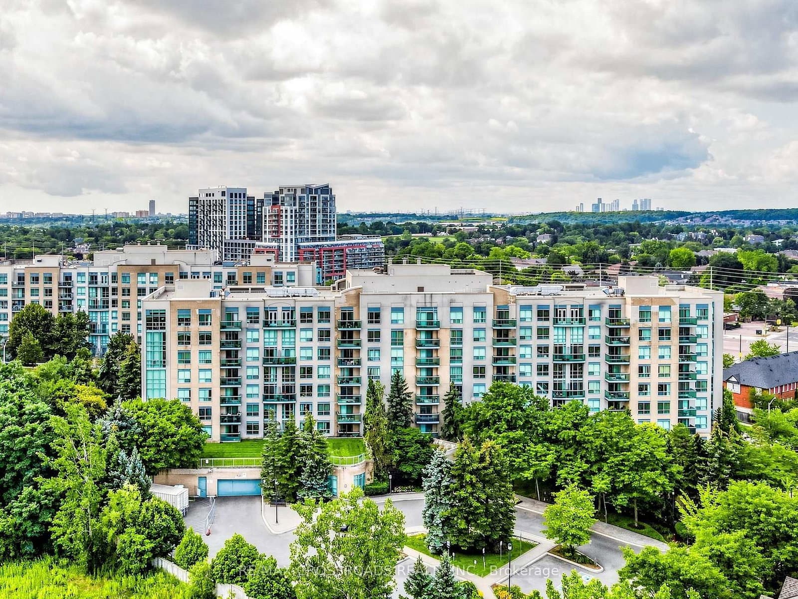 #713 - 3 Ellesmere Street